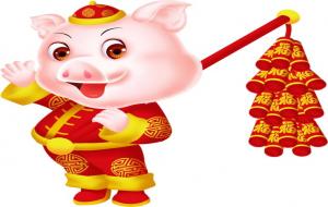 属猪的6合生肖是什么(虎)