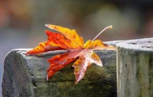 偏财运是什么意思（寻找偏财运提升方