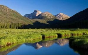 傻小子的桃花运(微小说)