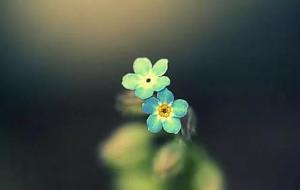 运气不好怎么转运方法六种方法