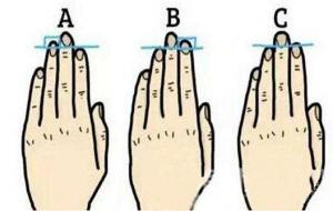 手指长短看命运(图解)