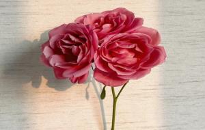 分手后不会回头的星座