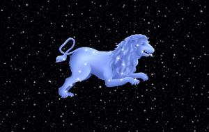 狮子座霸道吗(狮子座霸道的占有欲)