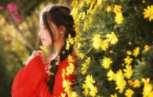 星座的宿世姻缘怎么看（12星座之宿世