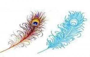 孔雀眼指纹的样子代表什么