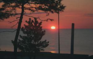 走桃花运的幽默句子(招桃花句子)