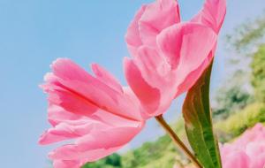 正直人品好的星座男