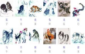 生肖表十二顺序排序表