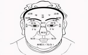 尖下巴面相:下巴尖如锥,财富化成灰