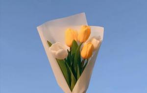 如何看自家风水好不好