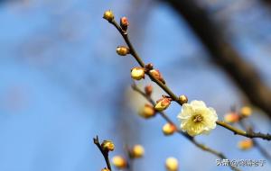 双春年有什么忌讳与禁忌