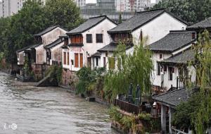 属羊人什么一碰就发财