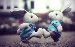 属兔人的婚姻配对:鼠、牛、虎