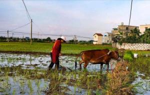烧纸钱有什么讲究时间, 一般烧纸在什么时候