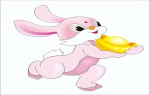 属兔适合做什么行业工作