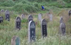 坟上不长草后代必出这三种人