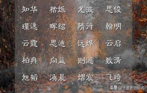 高雅的男孩名字大全(气质霸气起名)