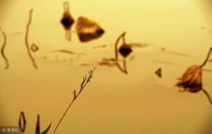 四柱八字大运流年的看法