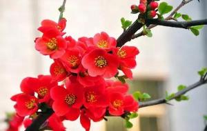 一生运势测算,人生运势查询方法