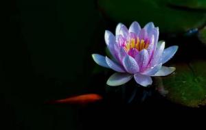 有损阴德的20件事