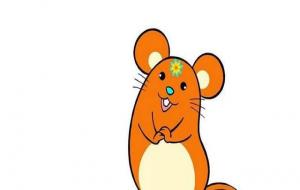 1984年属鼠五行属什么