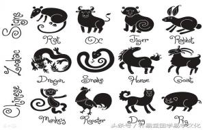 28星宿与地支的关系