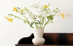 天生反骨星座,反骨人的性格