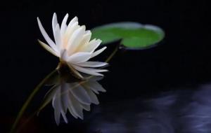 积阴德的十种方法(10件积阴德的事)