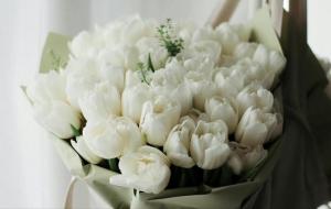 风流无双的星座是什么