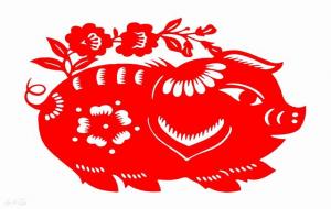 属猪命苦是哪几个月