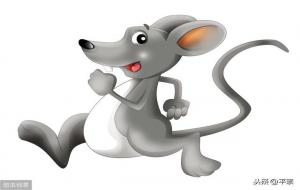 属相五行的意思(属相五行对照表)