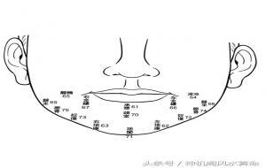 下巴翘的女人面相代表什么（下巴看面