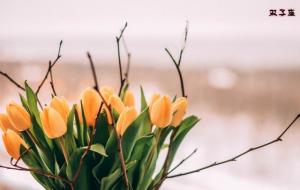 上帝很宠爱的四个星座