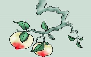 生命线短寿命就短吗(不一定)