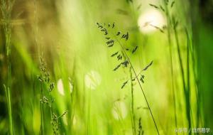 空亡怎么看(八字空亡简单的查法)