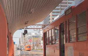 虚荣心很强的星座