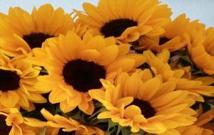 计谋厉害的星座,什么星座心思缜密