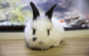 月亮巨蟹太可怕了，金月巨蟹座到底经历了什么