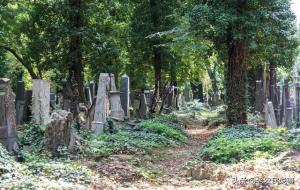 坟前三物出富人