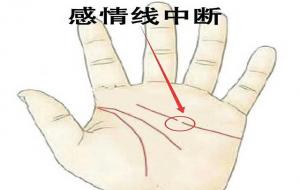 感情线:中断、岛文、末端分叉代表什