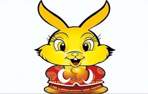 属猪婚配三合、六合生肖