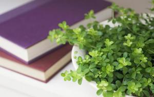 十二星座隐性性格(隐藏性格)