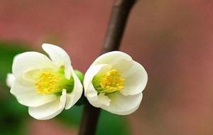 八字中什么叫食伤(食伤的意思)