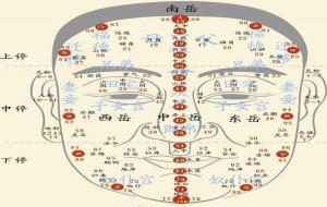 手相面相口诀全知道(手相面相大全图