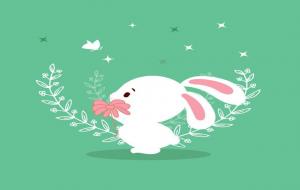 属兔是怎样的人(生肖兔心里性格与脾气)