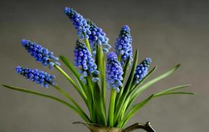 怎么让天蝎座回头（天蝎座回头几率有多大）