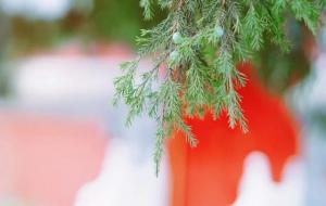 佛学名词解释：基础的60个佛学名词详