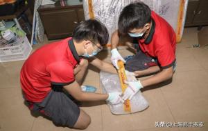 乔迁新居吉日(需要准备什么东西进门)