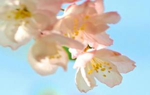 哪个星座能沉住气,非常沉得住气的人