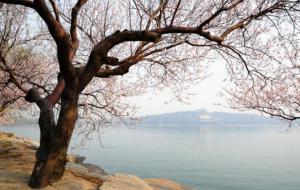 十件有损阴德的事情